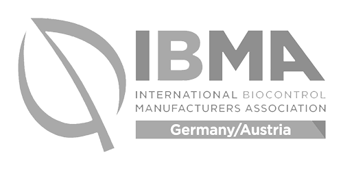 IBMA Logo