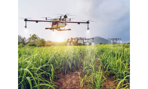 Chitosan leaf application spray drones in agriculture natural fungizide